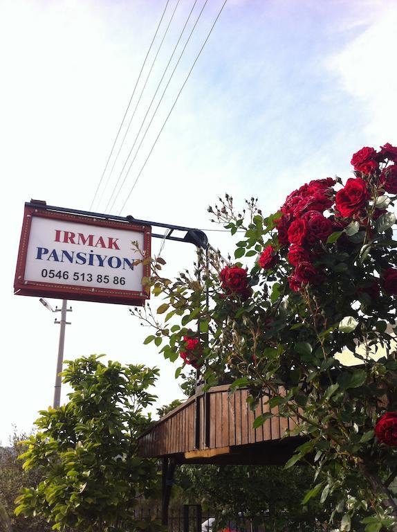 Irmak Family Pension & Apartments Eceabat Buitenkant foto
